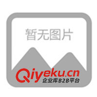 球迷T恤、印花T恤、時尚T恤、風衣、時尚風衣